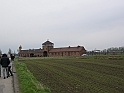 Birkenau-1