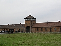 Birkenau-2