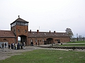 Birkenau-4