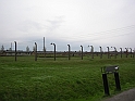 Birkenau-7