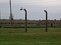 Birkenau-8