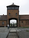 Birkenau-9