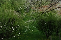 SanDamianoD'AstiPasqua2009_15