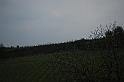 SanDamianoD'AstiPasqua2009_34