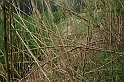 SanDamianoD'AstiPasqua2009_38