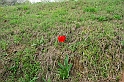 SanDamianoD'AstiPasqua2009_45