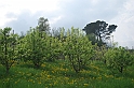 SanDamianoD'AstiPasqua2009_51