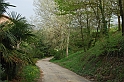 SanDamianoD'AstiPasqua2009_52
