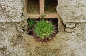 SanDamianoD'AstiPasqua2009_62