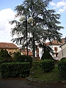 SanDamianoD'AstiA006