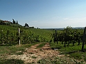 SanDamianoD'AstiA035