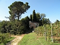 SanDamianoD'AstiA044