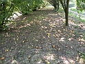 SanDamianoD'AstiA060
