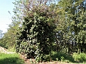 SanDamianoD'AstiA072