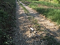 SanDamianoD'AstiA074