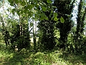 SanDamianoD'AstiA075