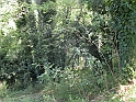 SanDamianoD'AstiA078