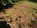 SanDamianoD'AstiA085