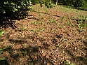 SanDamianoD'AstiA086
