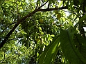 SanDamianoD'AstiA088