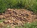 SanDamianoD'AstiA095