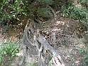 SanDamianoD'AstiA097