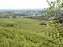 SanDamianoD'AstiA102