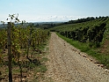 SanDamianoD'AstiA108