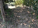 SanDamianoD'AstiA109