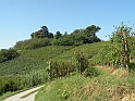 SanDamianoD'AstiA111
