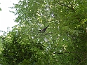 SanDamianoD'AstiA116