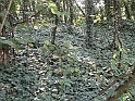SanDamianoD'AstiA126