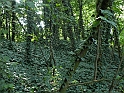 SanDamianoD'AstiA127