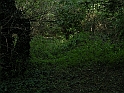 SanDamianoD'AstiA129