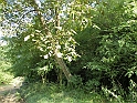 SanDamianoD'AstiA134