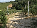SanDamianoD'AstiA141