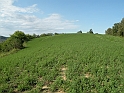 SanDamianoD'AstiA147