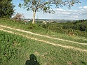 SanDamianoD'AstiA149