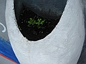 Berlino_279