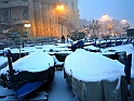 genovainnevata