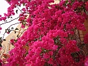Jerba_039