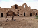 Jerba_046