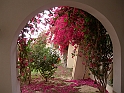 Jerba_057
