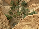 Jerba_063