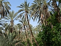 Jerba_074