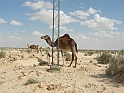 Jerba_081