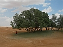 Jerba_085