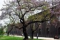 Milano25_04_2009_130