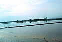 Milano25_04_2009_153