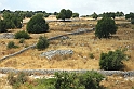 campagna